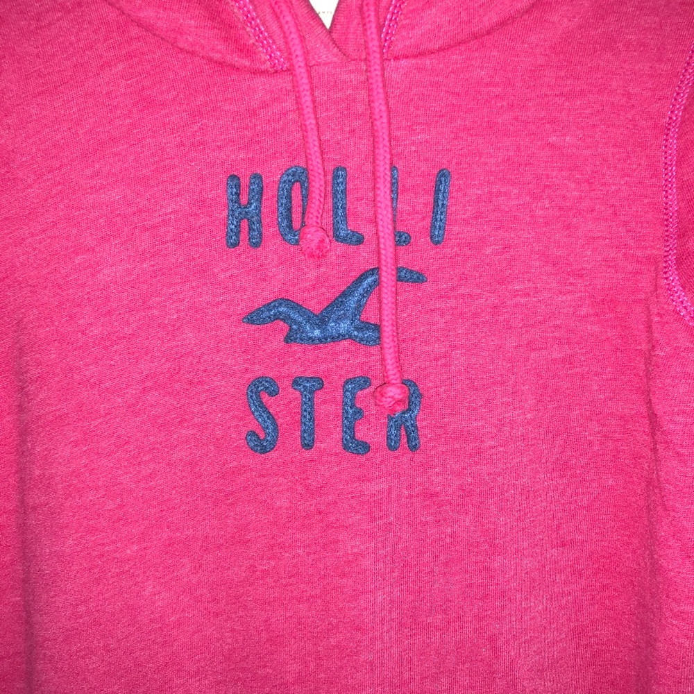 Hollister Sweatshirt